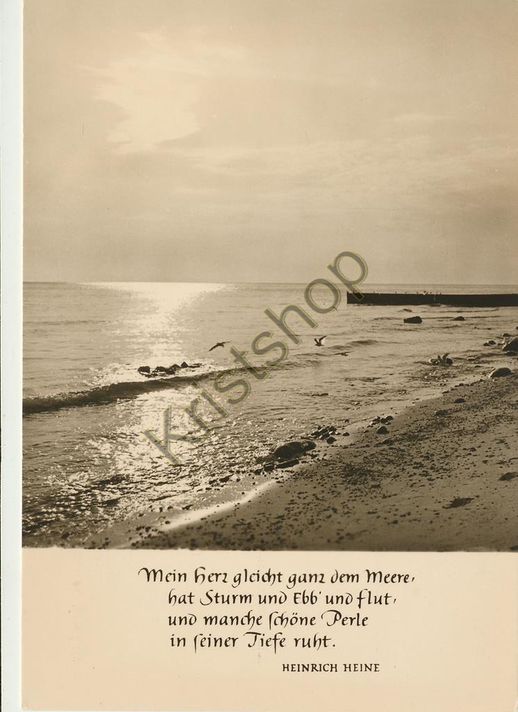 KRST007-3755_0.jpg Foto Hoffmann - Heinrich Heine [KRST007-3755