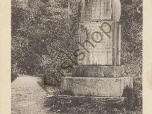 Servoz - Gorges de la ââ‚¬Â¦ [KRST007-3958
