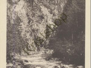 Servoz - Gorges de la Diozaz [KRST007-3975
