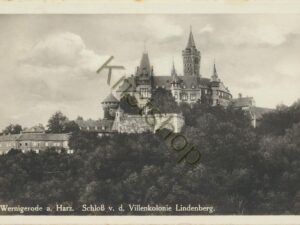 Wernigerode a Harz - Schloß vd Villenkolonie Lindenberg [KRST007-4072