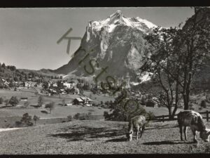 Grindelwald - Wetterhorn  [KRST007-4120