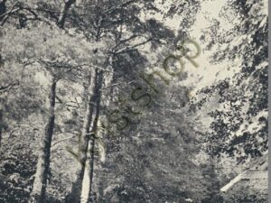 Rolde - Drents landschap [KRST007-4471