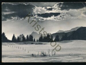 Dans un clin de soleil [KRST007-4839