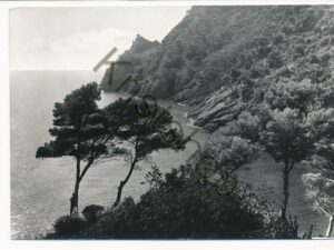 Fruttuoso di Camogli [KRST007-5215
