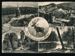 Im Teutoburger Wald [KRST007-5429