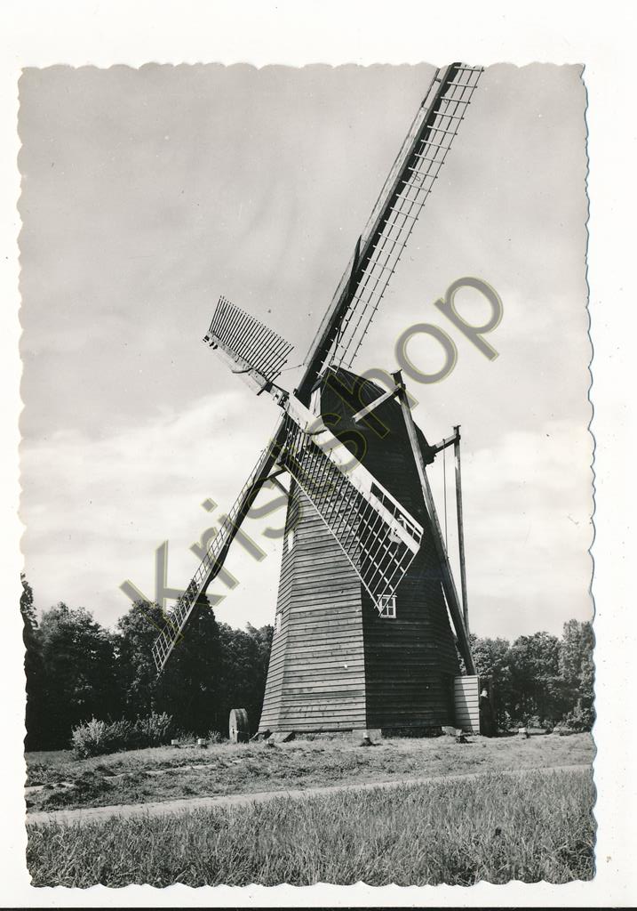 KRST007-6098_0.jpg Bokrijk - Windmolen uit Schulen [KRST007-6098