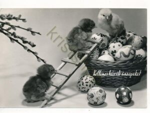 Glückliche Osterfeiern - Eastern [KRST007-6242