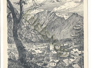 Pinzgau [KRST007-6323