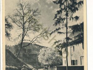 Frâ€¼hling an der Bergstraße - Aufnahme Max Göllner [KRST007-6347