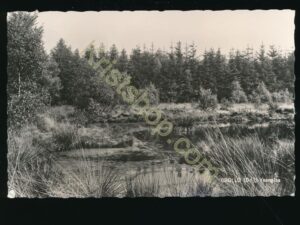 Grollo - Veenplas [KRST007-6485