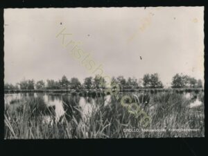 Grollo - Meeuwenplas Kronenkampveen [KRST007-6491