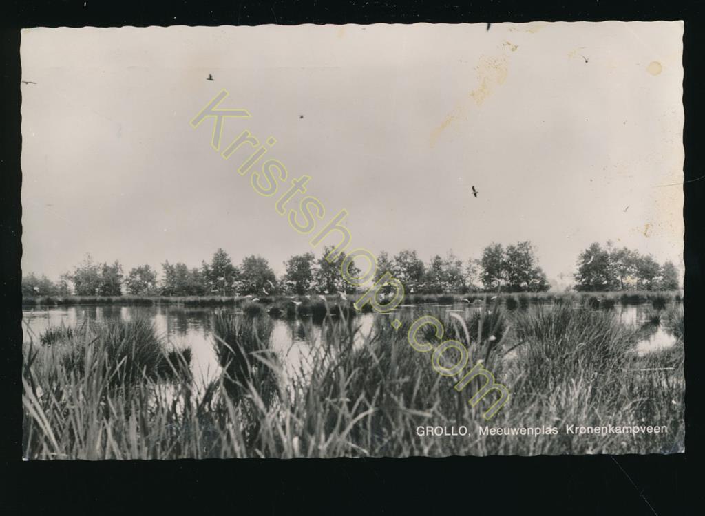 KRST007-6491_0.jpg Grollo - Meeuwenplas Kronenkampveen [KRST007-6491