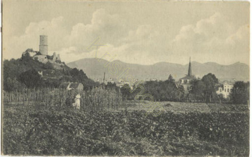 KRST007-6911_0-1.jpg Burg Godesberg mit Siebengebirge KRST007-6911