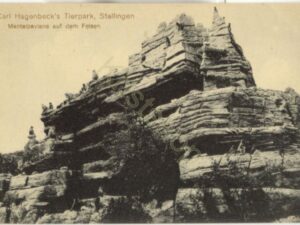 Stellingen - Carl Hagenbeck's Tierpark KRST007-6943