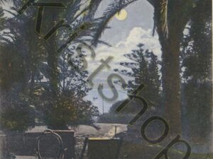 San remo - Royal Hôtel - Le Jardin  [KRST007-7733