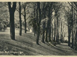 Shady Walk - Hillingbury Park [KRST007-7777