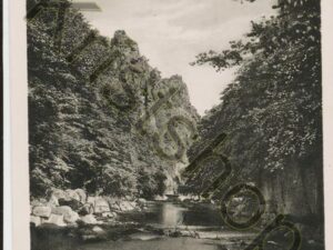 Parti im Bodetal am Waldkater  [KRST007-7919