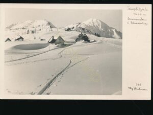 Tauplitzalm [007-8225