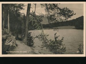 Am Tristachersee bei Lienz [007-8231