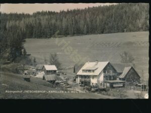Alpengasthof Tatscherhof - Kapellen ad Mürz [007-8351