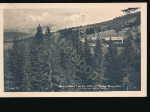 Waldheimat Alpl - Gasthof Bruggraber [007-8365