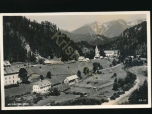 Wildalpen - Anton Koller [007-8374