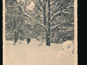 Graz - Stadtpark im Schnee [007-8425