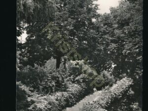 Bad Gleichenberg - Rosenstiege im Kurpark [007-8426