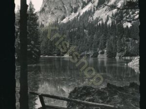 Tragöss-Oberort - Grüner See [007-8438
