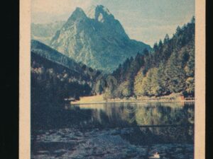 ??? Unknown - Unbekannt Österreich ??? [007-8446