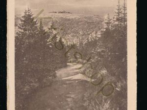 Brocken i Harz - vom Goetheweg [KRST008-0279