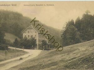 Teutenburger Wald - Hangstein b Berlebeck [KRST008-0442