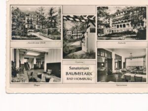 Baumstark - Bad Homburg [KRST008-0549