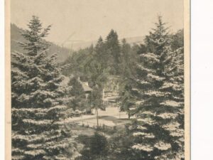 Triberg - Schwarzwald-Hotel [KRST008-0767