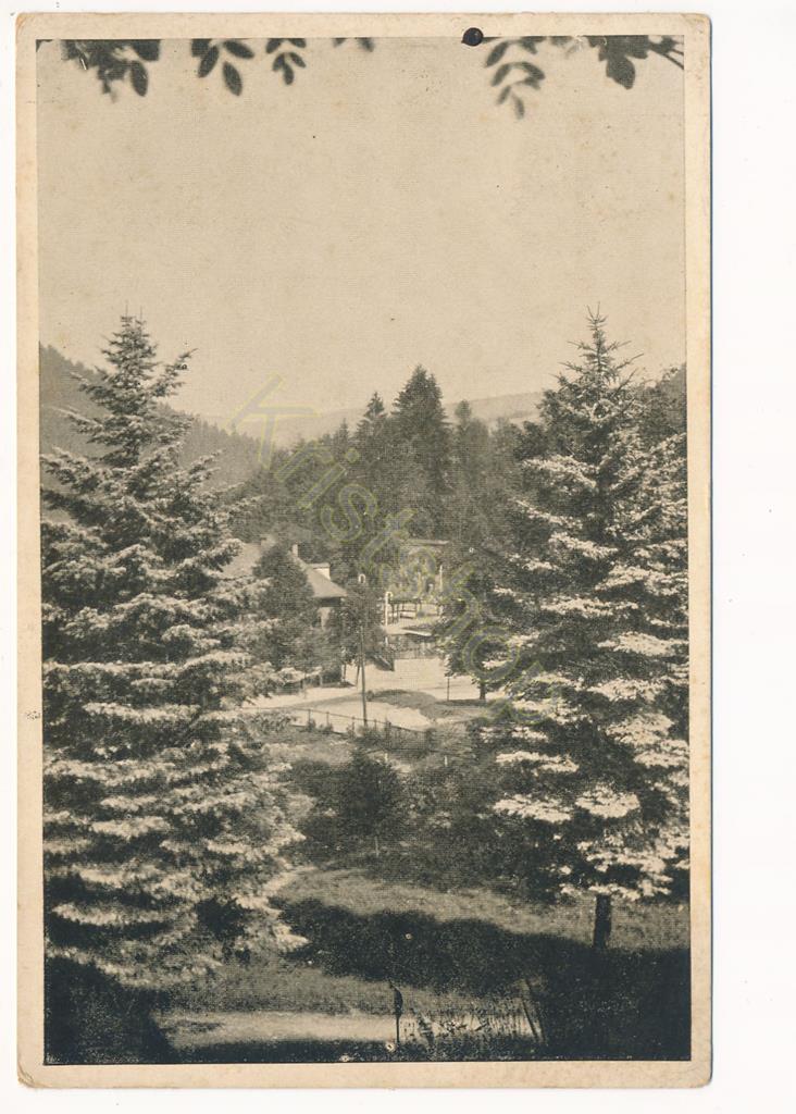 KRST008-0767_0.jpg Triberg - Schwarzwald-Hotel [KRST008-0767