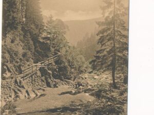 Okertal - Alter Weg [KRST008-0913