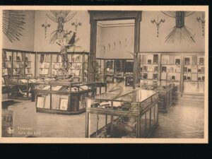 Tervuren - Museum van Belgisch Congo - Houtzaal [KRST008-1031