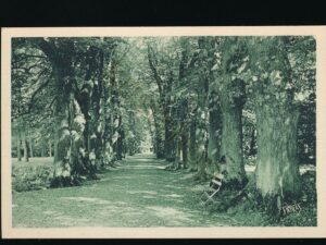 Château de Voisins - Louveciennes - L'Allée des Tilleuls [KRST008-1084
