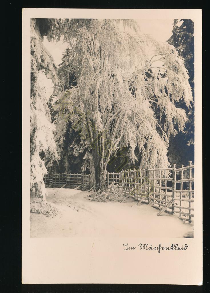 KRST008-1116_0.jpg ??? Deutschland - Winter ?? [KRST008-1116