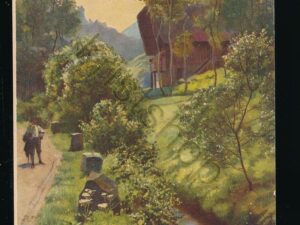 Frühmorgens im Schwarzwald [KRST008-1121