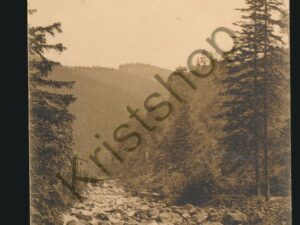 Im Okertal [KRST008-1218
