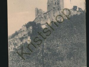 Gruü vom Rhein -Ruine Drachenfels [KRST008-1242