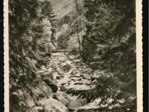 Okertal im Harz [KRST008-1423