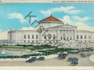 Chicago - John G. Shedd Memorial Aquarium [KRST008-2691