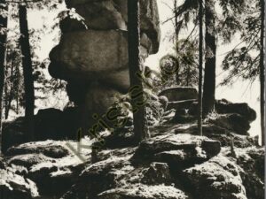 Steinwald - Beliner Felsen [KRST008-2743