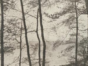 Lake Mignigan [KRST008-2895