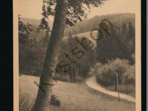 Seeheim ad Bergstr Im Oberbeerbacher Tal [KRST008-2966
