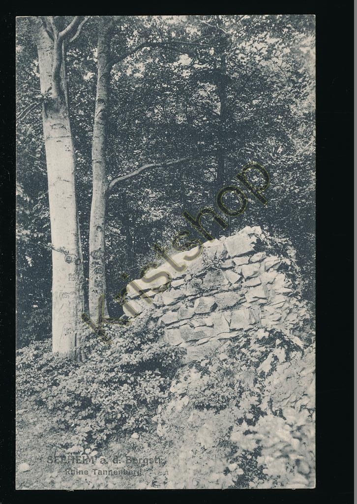 KRST008-2989_0.jpg Seeheim ad Bergstr - Ruine Tannenberd [KRST008-2989
