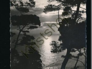 Côte d'Azur - Contre-jour [KRST008-2998