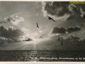 Schiermonnikoog [KRST008-3071